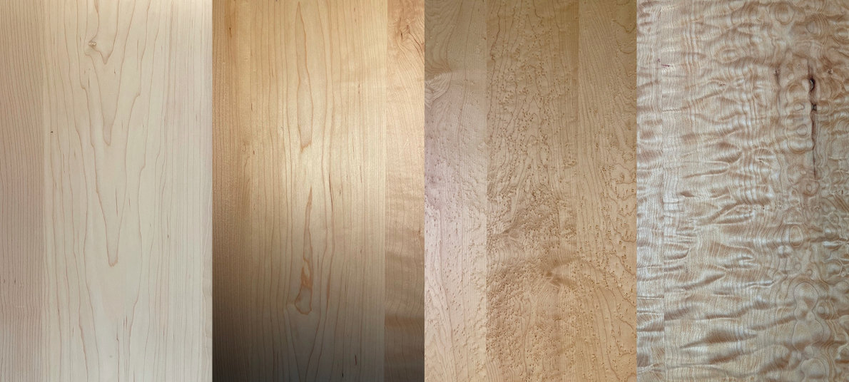Image of Maple Variety