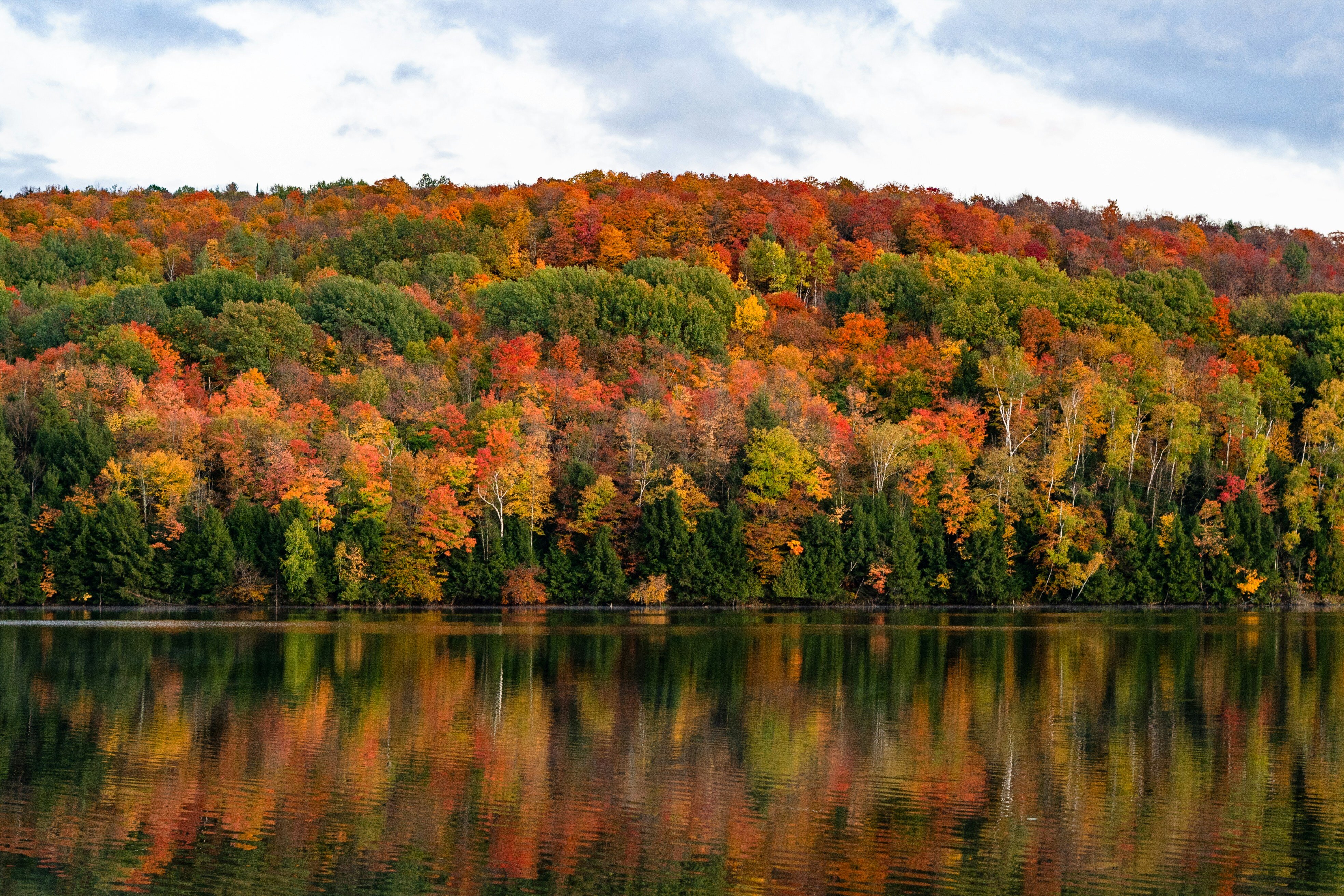 Vermont Maple trees in the fall over a lake